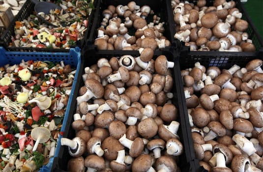 the market in the old town of Freiburg im Breisgau in the Blackforest in the south of Germany in Europe.