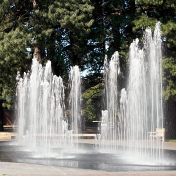 Two rows of pavement fountain water jets spraying water into the air in a public park on a sunny summer day.