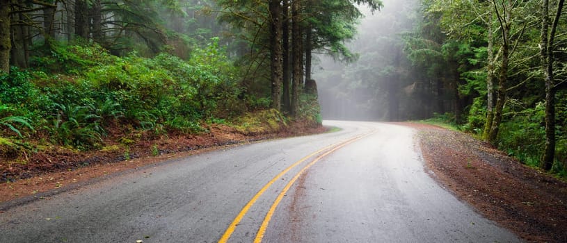 The sea mist has yet to burn off on this road descending down to the shore