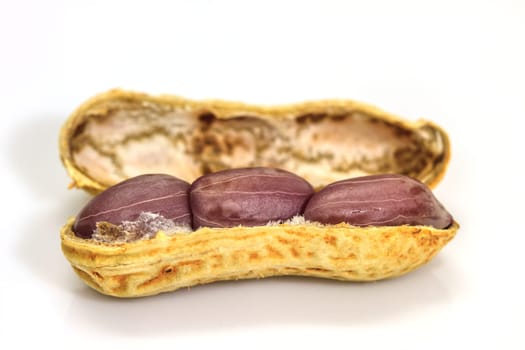 Dried peanuts in closeup on white background