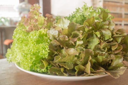 Fresh organic mix salad vegetable, stock photo