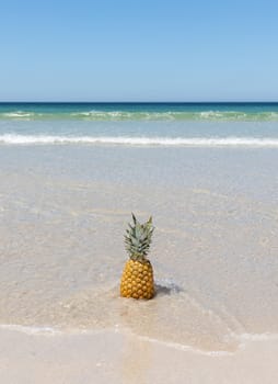 Lonely pineapple on the sand of the beach with the turquoise sea in the background