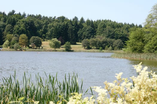 some small trees inlaid a Lake .