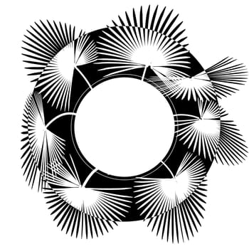 Black-white stylized drawing of palm leaves in a circle. Place for advertisement announcement. Vector illustration