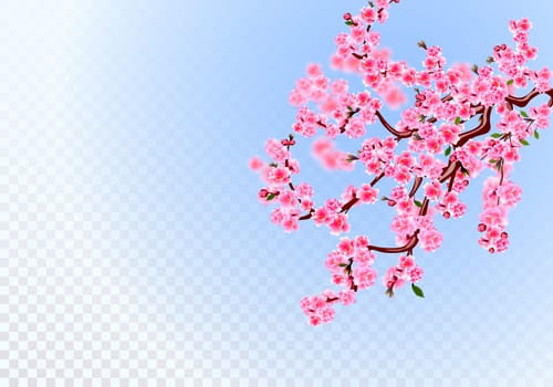 Sakura. Lush branches with light purple flowers, leaves and cherry buds. Defocus effect. On a transparent background. Vector illustration