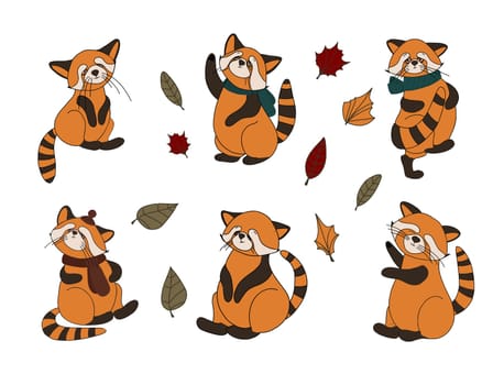 Little panda, red panda, cat bear. Character cute beast. Funny animals. Autumn decoration. Vector illustration isolated on white background.