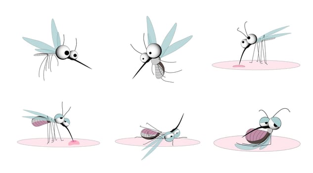 Insect mosquito and pest illustration for repellent oil, spray and patches ads, poster. Flying mosquitoes flock to an aerial isolated promo. Viruses and diseases that spread the concept of medical car