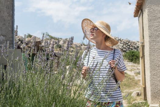 Beautiful blonde young female traveler wearing straw sun hat enjoying summer on Mediterranean cost strolling among lavander flowers on traditional costal village garden.