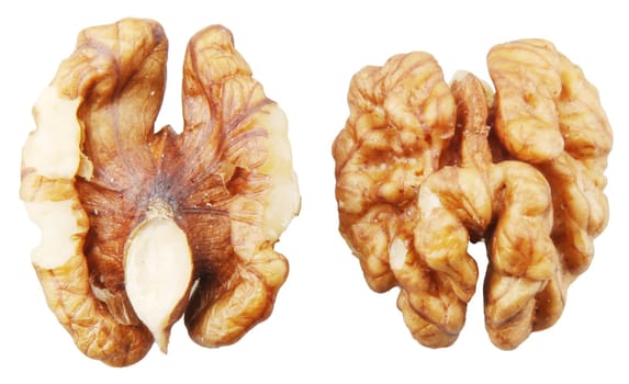 Walnuts Isolated On White Background