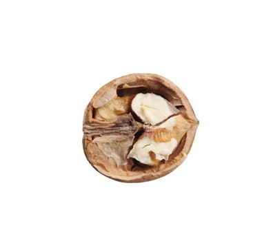 Walnuts Isolated On White Background
