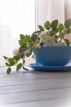 White roses in blue bowl on blurred background, vertical image