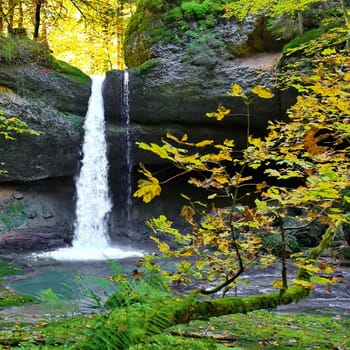 A romantic waterfall in the forest of Bavaria