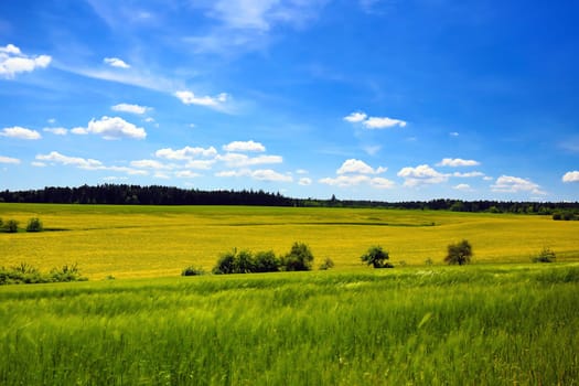 Landscape in the environment of Sulz am Neckar