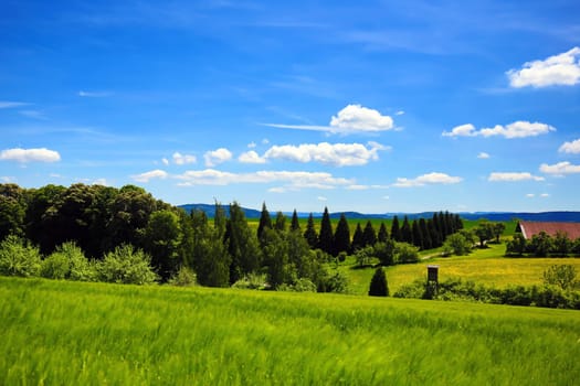 Landscape in the environment of Sulz am Neckar