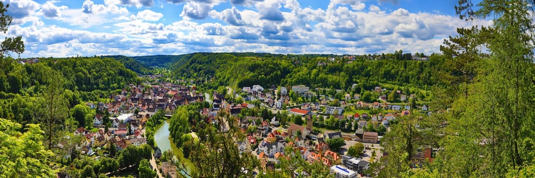 Townscape of Sulz am Neckar from above