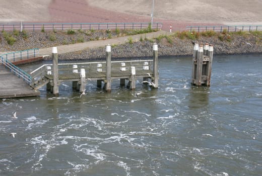 some Seagulls sitting in the harbor on stilts