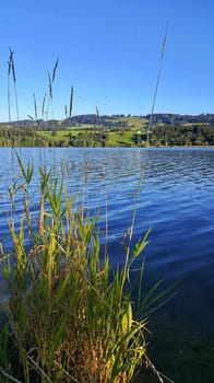 The Rottachsee near Sulzberg is a reservoir