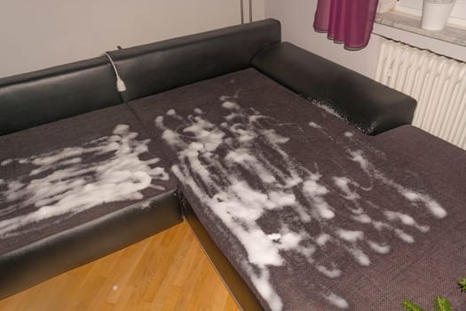 Sofa dry cleaning with professional extraction method. Upholstered furniture. Spring cleaning or regular cleaning..