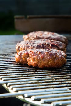 Grilled meat on a summer barbecue in the garden