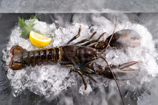 Fresh oyster serve with lemon in basket on black stone plate. Fresh seafood food and european cuisine gourmet concept.