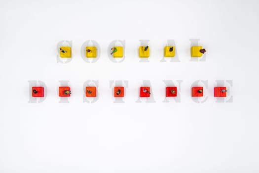 Miniature figurines standing on wooden cubes with message Social Distance isolated over white background