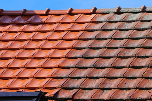Workers cleaning the roof of moss and dirt with a high pressure cleaner. Secured with a safety rope.