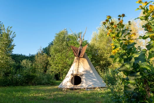 Single Indian tipi stands in a meadow between trees and bushes in the sunshine