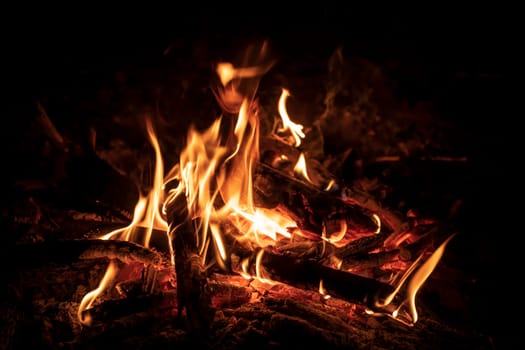 Bright burning fire with embers in front of black background