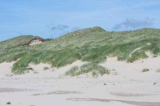 some dunes on the North Sea in the Netherlands.