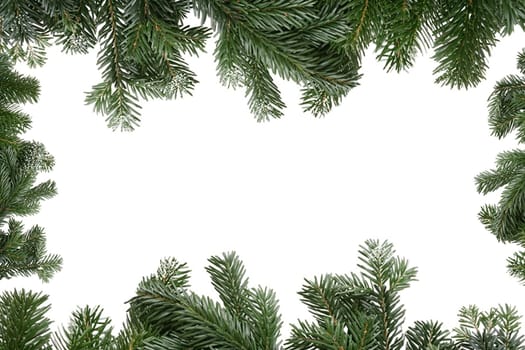 Christmas green border isolated. Topview xmas fir pine spruce branch border on white background. Backdrop for your design.