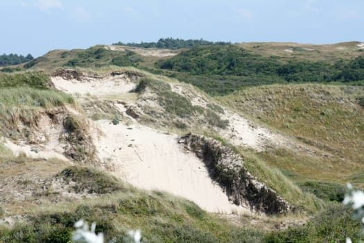 some dunes on the North Sea in the Netherlands.