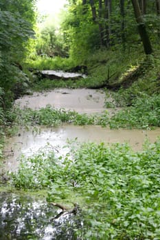 Some small trees inlaid a pond.