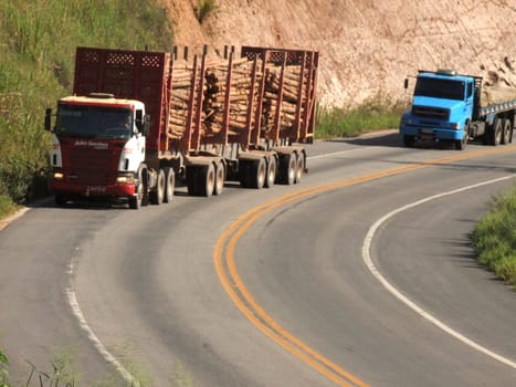eunapolis, bahia / brazil - april 5, 2011: eucalyptus wood transport cart is seen traveling on highway BR 101 in the city of eunapolis, in southern Bahia.