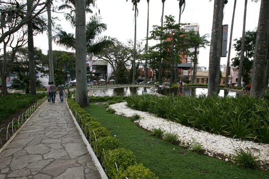 vitoria da conquist, bahia / brazil - october 28, 2011: view of trees and gardens in Tancredo Neves square in the city of Vitoria da Conquista.