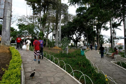 vitoria da conquist, bahia / brazil - october 28, 2011: view of trees and gardens in Tancredo Neves square in the city of Vitoria da Conquista.