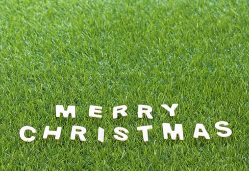 Celebration of New year and Christmas, Top view Christmas alphabet wood on green grass background