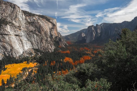 View of the valley of Yosemite National Park, USA