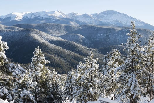 Fresh snow blankets the forest at the base of Majestic Pikes Peak Colorado