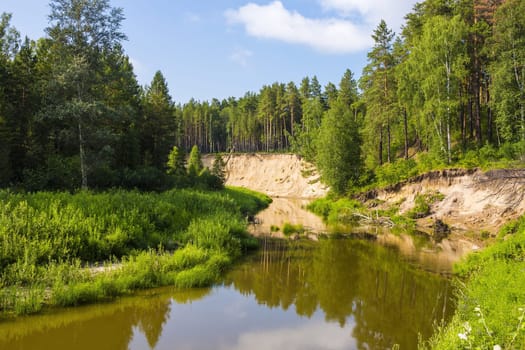 Karakan river in Siberia, Novosibirsk oblast, Russia. Summer view of the river with pines on the shore