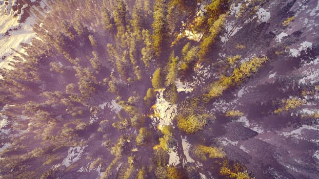 Colorful aerial view of a north american forest