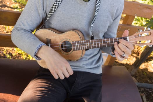 Young man sitting on bench in the park and playing ukulele.