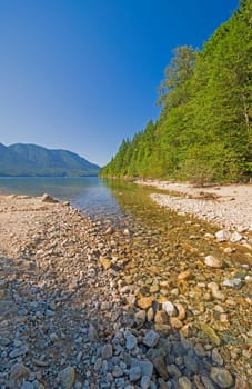 Calm Stream Emptying into an Alouette Lake in Golden Ears Provincial Park in British Columbia, Canada