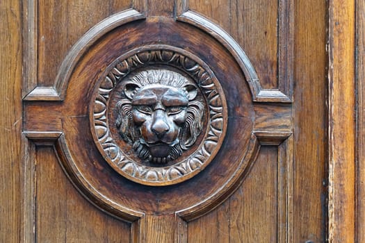 Detail shot of engraved lion head in wood
