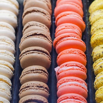 French macarons colorful cookies in row