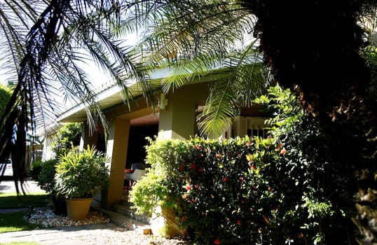 salvador, bahia / brazil - october 22, 2014: house decorated with various plants in the city of Salvador.