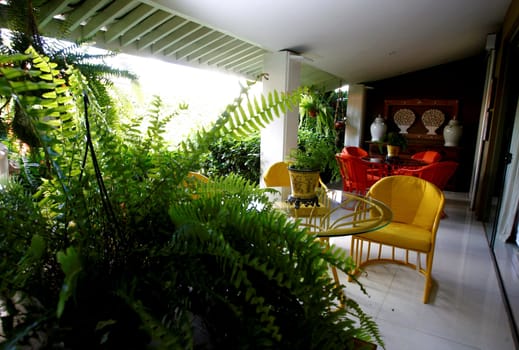 salvador, bahia / brazil - october 22, 2014: house decorated with various plants in the city of Salvador.