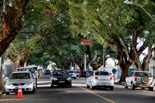 salvador, bahia / brazil - march 23, 2013: vehicles are seen on a tree-lined street in the Corredor da Vitoria in the city of Salvador.
