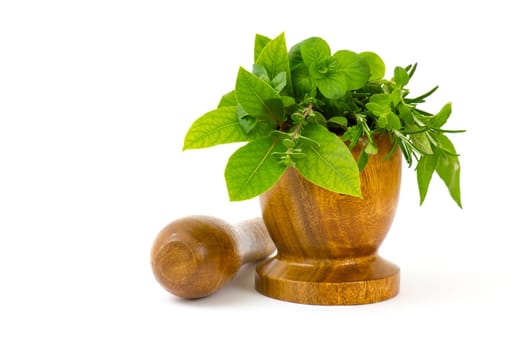 Mortar with fresh herbs on white background