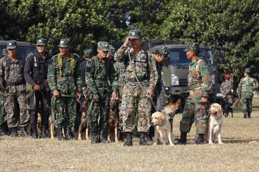 THAILAND- DECEMBER 18: Training Dogs of War, Thailand's Army on December 18, 2014 in Saraburi, Thailand.