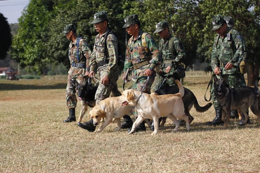 THAILAND- DECEMBER 18: Training Dogs of War, Thailand's Army on December 18, 2014 in Saraburi, Thailand.